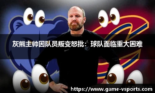 VSport官方入口